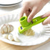 Ginger and Garlic Grinding Grater